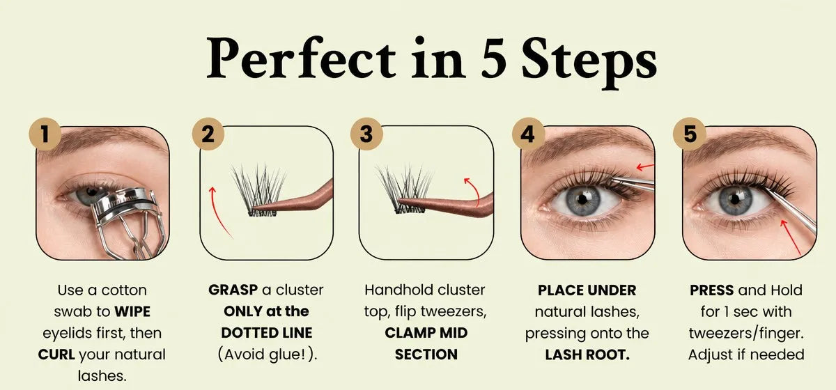 Perfect in 5 Steps: How to Apply Lashterally Press-On Lashes Infographic